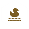 Kid’s Pool Icon